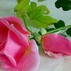 Ayat Shawky avatar