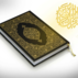 Mohammad Idrees avatar