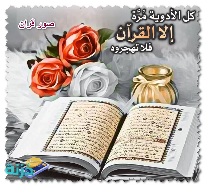 Ghada Zaki avatar