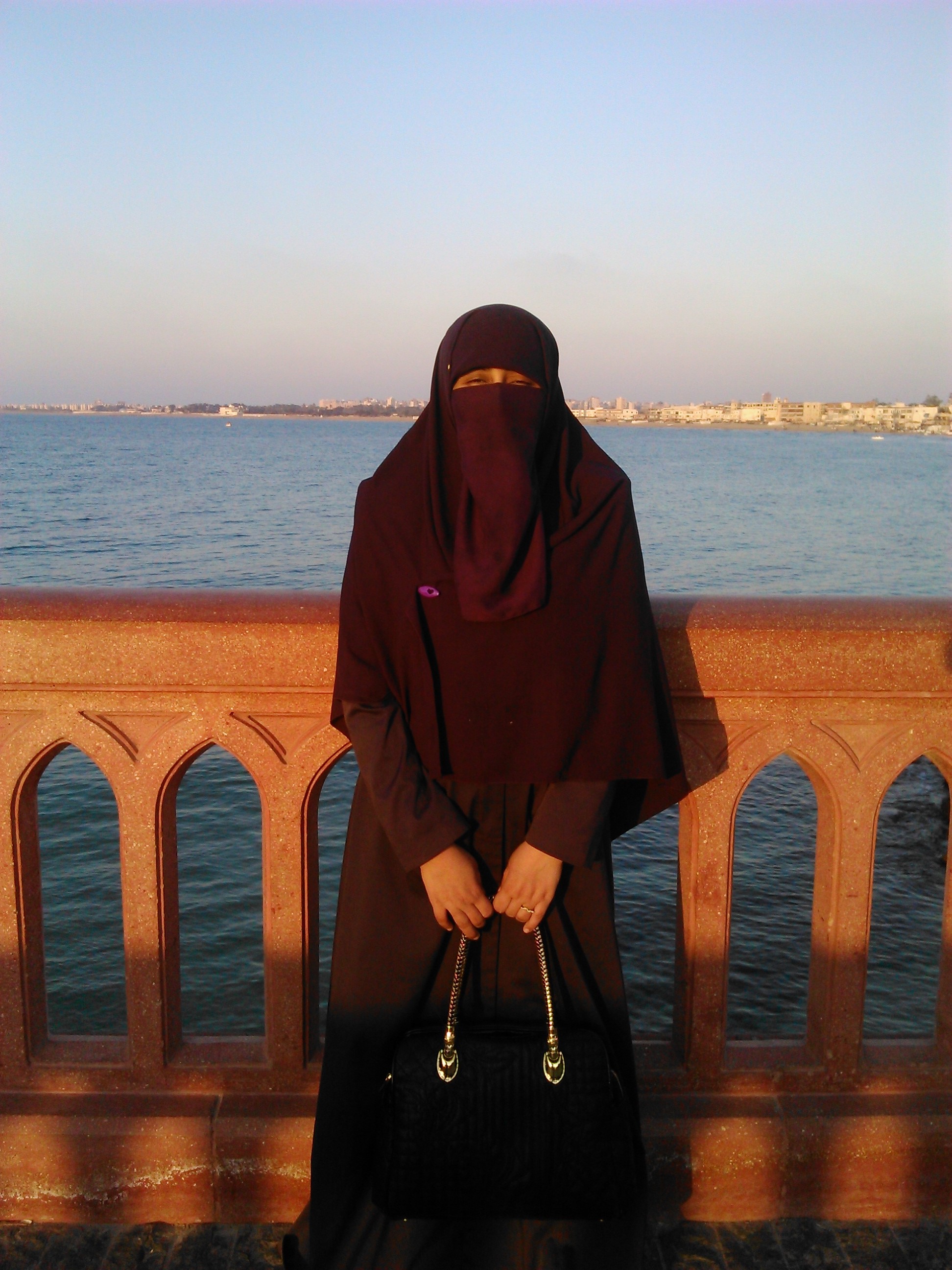 Ayat Saeed avatar