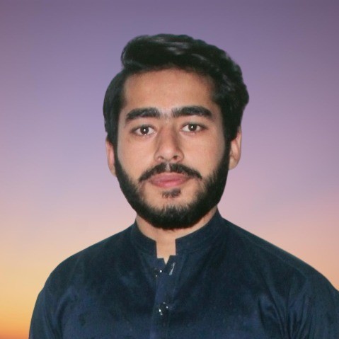 Muhammad Shahzaib avatar